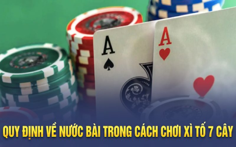 Hướng dẫn cách chơi bài xì tố từ A đến Z cho người mới bắt đầu