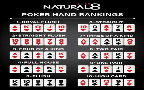 Royal Poker Club - Nơi hội tụ của những người đam mê poker Việt Nam