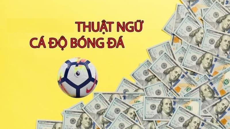 Bet là gì? Tìm hiểu ngay về thuật ngữ cá cược phổ biến